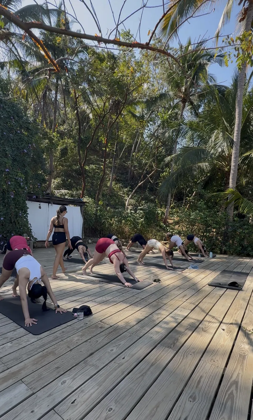 Yoga on a wooden deck in the jungle